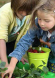 Taller de jardinería